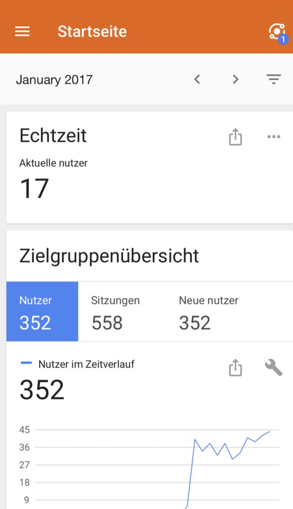 Screenshot von Google Analytics Januar 2017