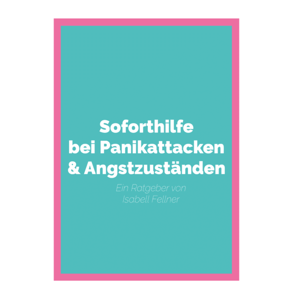 E Book Panikattacken und Angstzustände